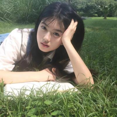 与鲨共游